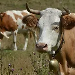 Alojamento de Turismo Rural Agribed Quierta - Matrimoniali La Crosetta